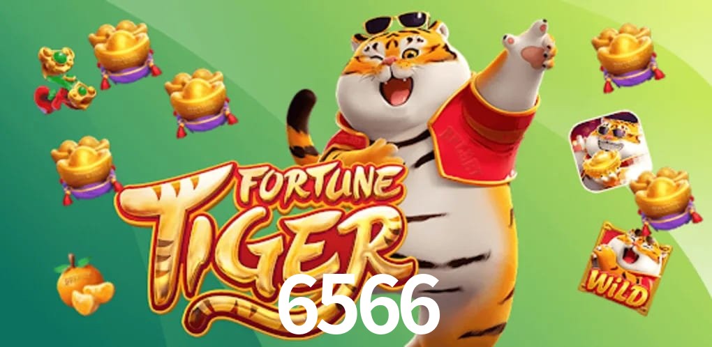 Experiência VIP 6566