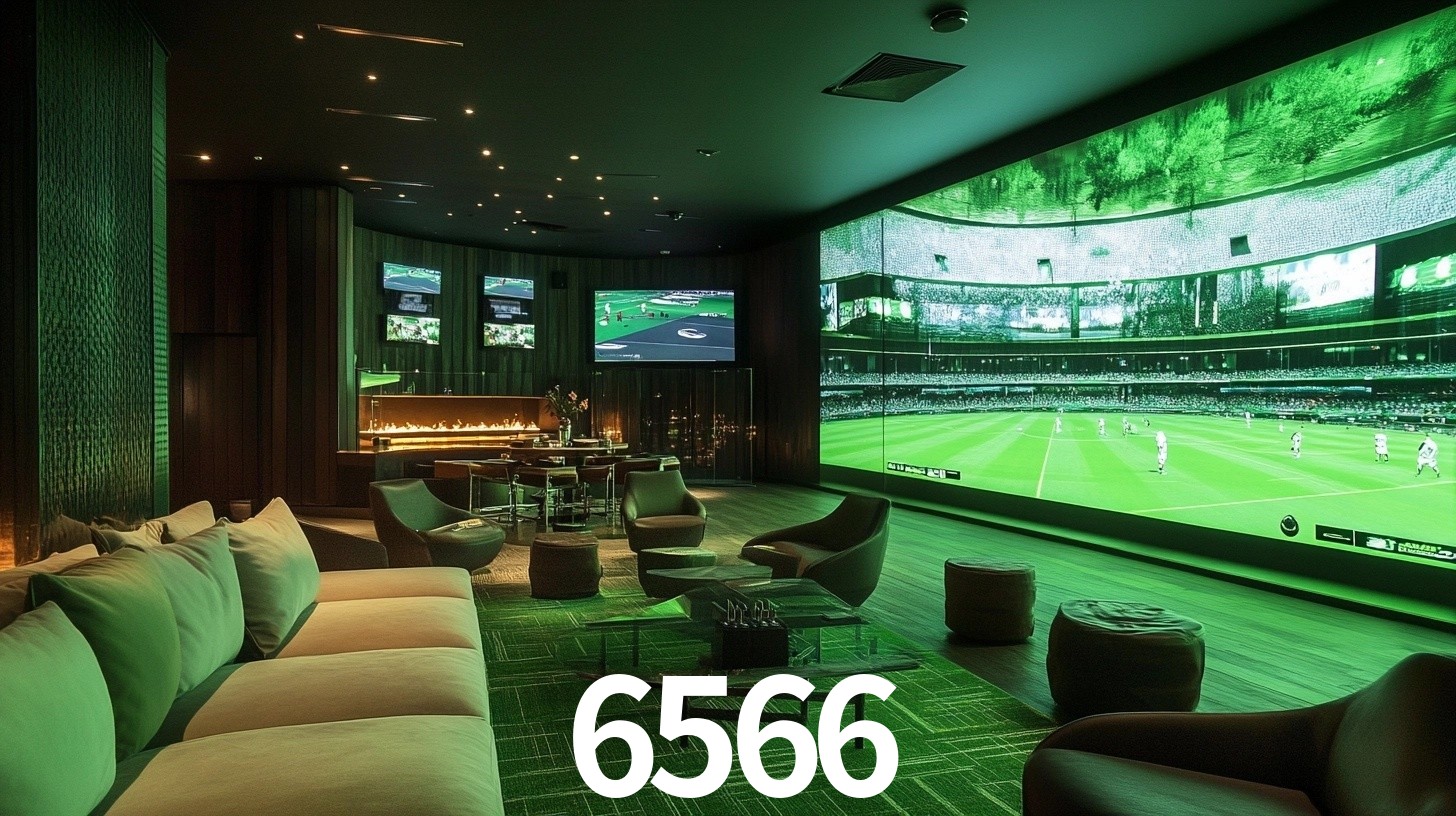 6566.com