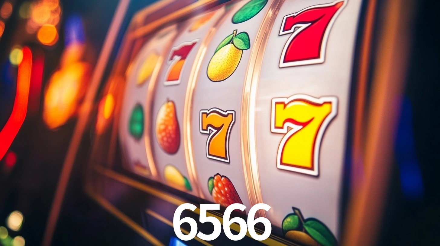 6566 App Interface